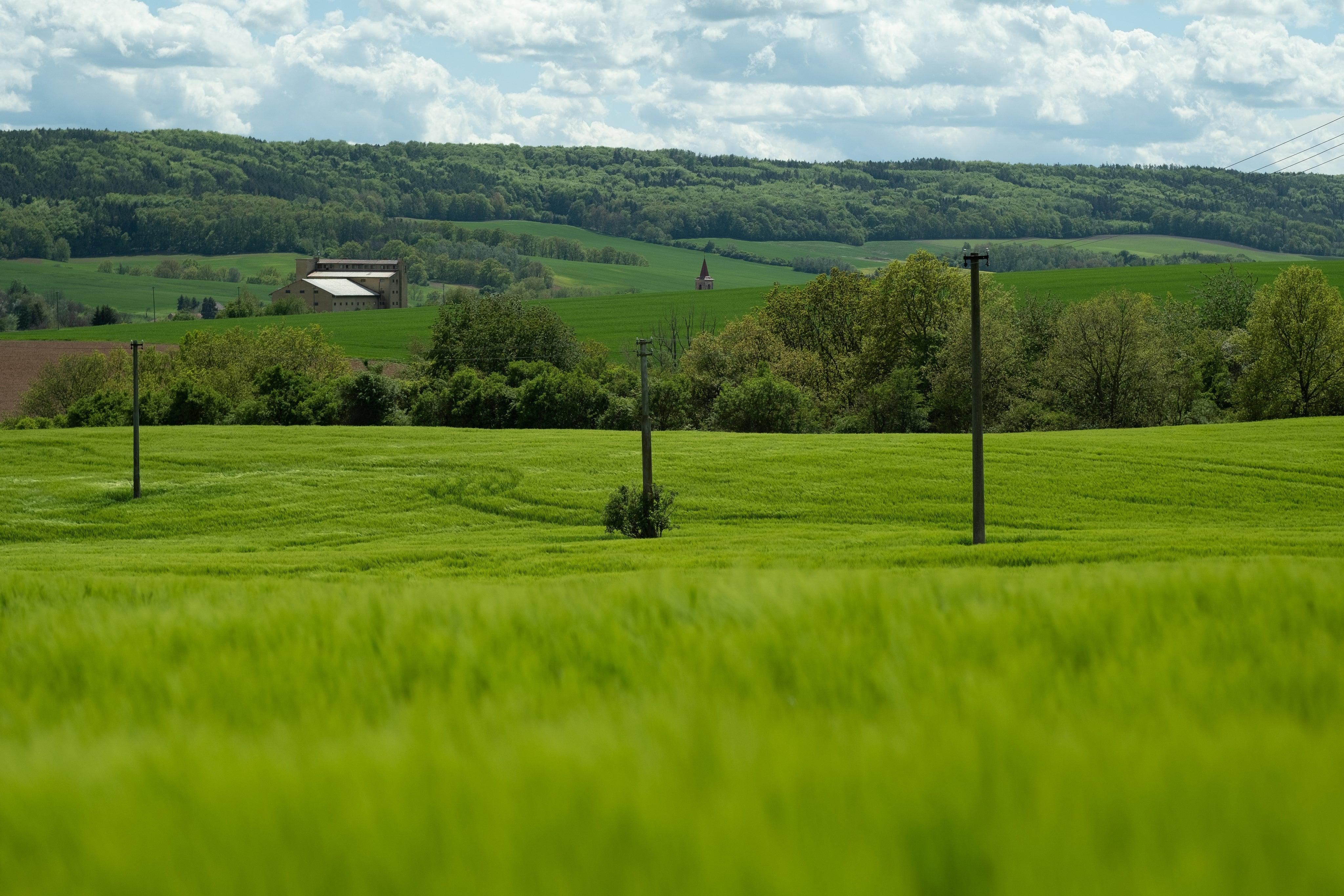 Mowing: Cutting Grass for a Greener Result