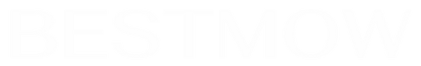 Bestmow Solid white color logo