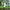 BESTMOW — AI Robotic Lawn Mower Titan-100