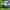 a robot mower on a lawn